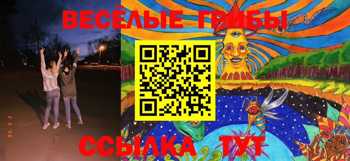 Псилоцибиновые грибы Psilocybine cubensis Мытищи